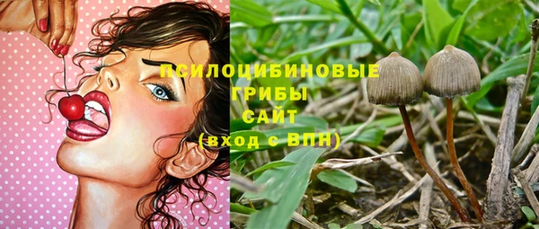 спайс Краснослободск