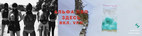 гидра Беслан
